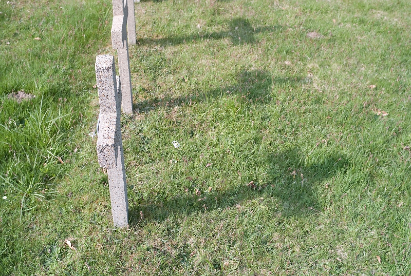 L1009464.jpg