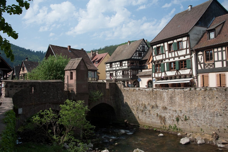 DSC_3553.jpg