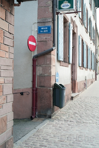L1009492.jpg