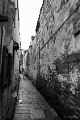 DSC_1377