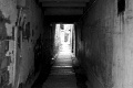L1013785
