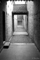 L1013585