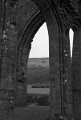 L1012659-2