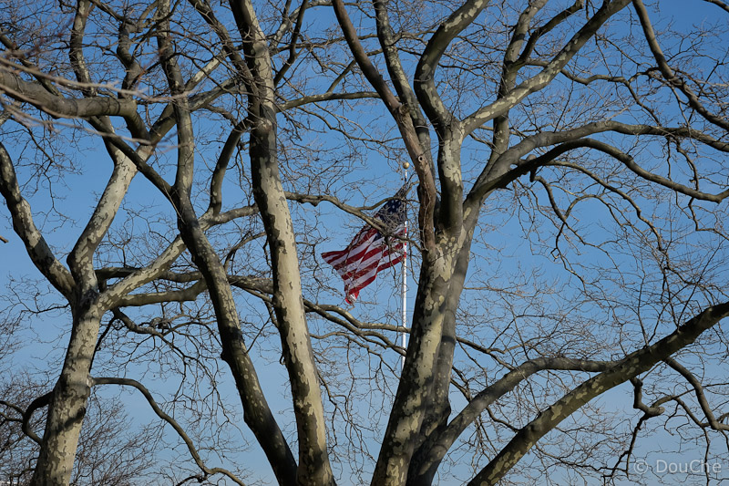 Ellis Island