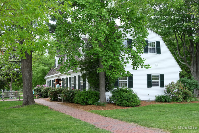 Lexington