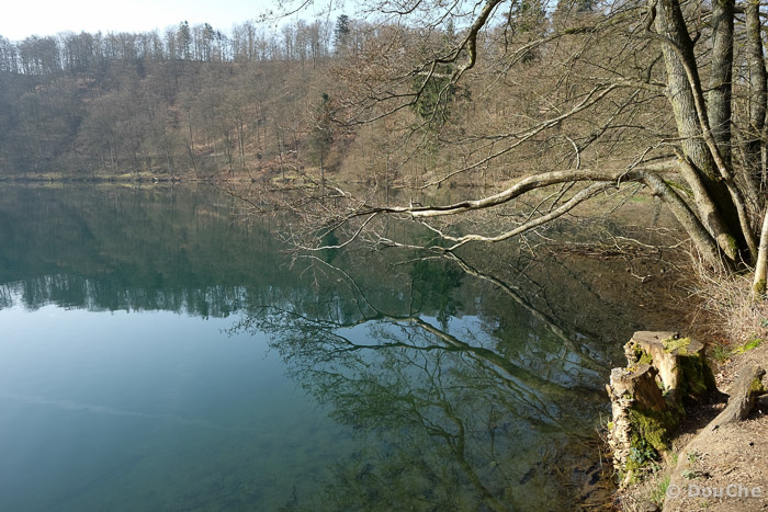 Gemundener Maar