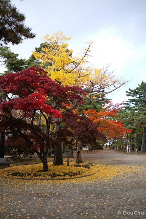 Senshukoen