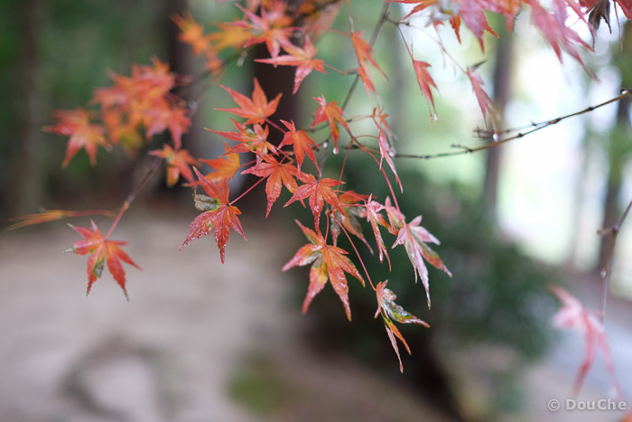 Hiraizumi