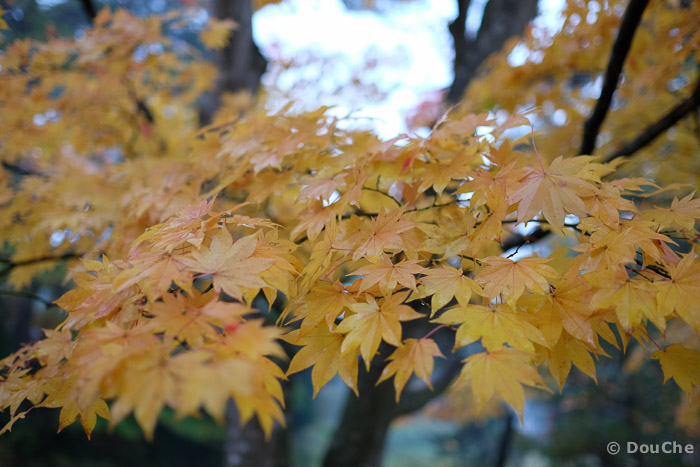Hiraizumi