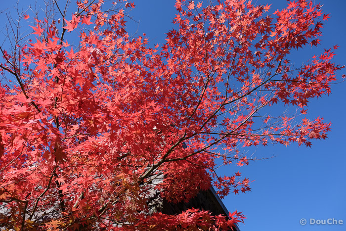 Kitaurashinzan