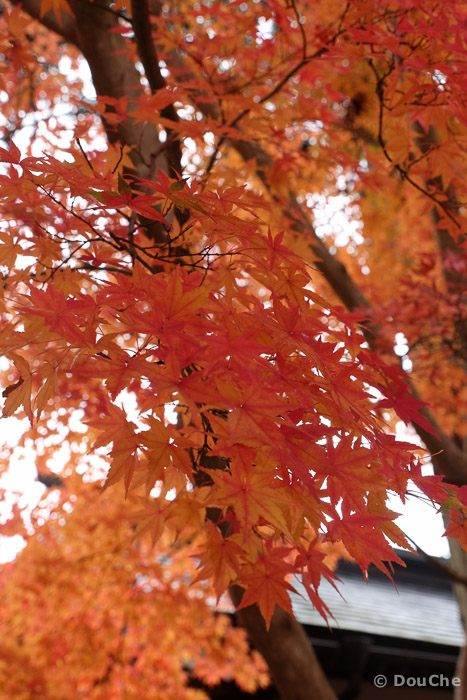 Hiraizumi