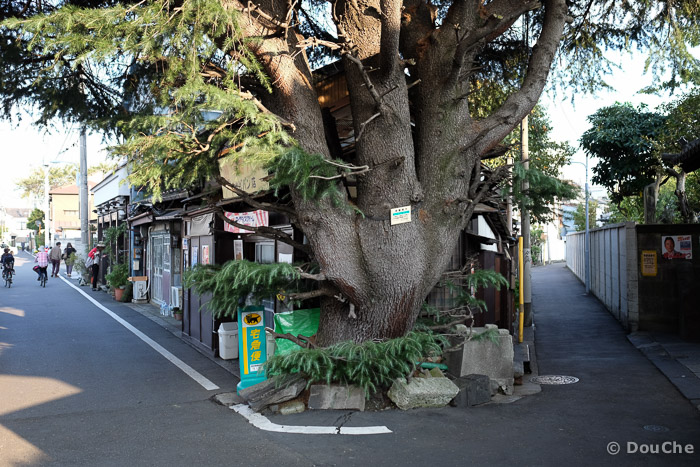  - Yanaka