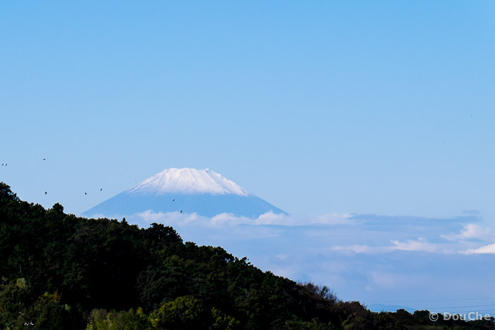  - Yamanouchi