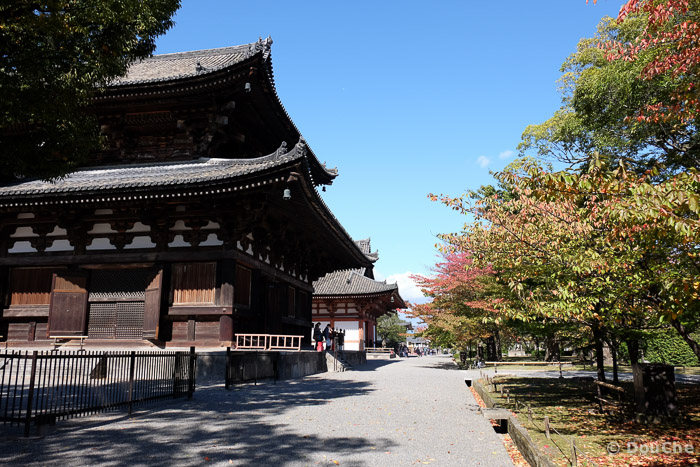  - Kujocho
